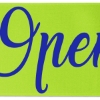 Promotional 9 Badge Satin Ribbon - 50yd Roll - Brilliance- Matte Finish Lime Green BR50BAR0950