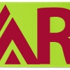 Promotional 12 Badge Satin Ribbon - 25yd Roll - Brilliance- Matte Finish Lime Green BR50BAR1225