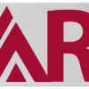 Promotional 12 Badge Satin Ribbon - 25yd Roll - Brilliance- Matte Finish Silver BR50BAR1225