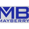 Promotional 5 Badge Satin Ribbon - 50yd Roll - Brilliance- Matte Finish Silver BR50BAR0550