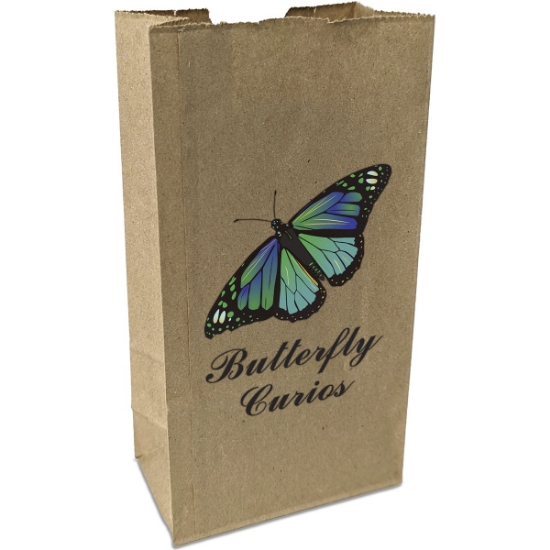 Custom 2# Popcorn Bag - ColorVista with Logo CV11SOS0407