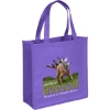 Promotional Abe - Celebration Tote Bag - ColorVista Grape Purple CV30CES1313