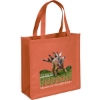 Promotional Abe - Celebration Tote Bag - ColorVista Orange CV30CES1313