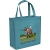 Promotional Abe - Celebration Tote Bag - ColorVista Teal Blue CV30CES1313