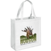 Promotional Abe - Celebration Tote Bag - ColorVista White CV30CES1313