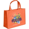 Promotional Ben - Celebration Tote Bag - ColorVista Orange CV30CES1612