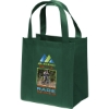 Promotional Little Thunder® - Non-Woven Tote - ColorVista Tropical Green CV30THU1213