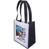 Custom Renoir - PET Non-Woven Tote Bag - ColorVista with Logo CV33PEN1315