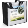 Custom Picasso - Polyester Tote - ColorVista with Logo CV40PIC1414