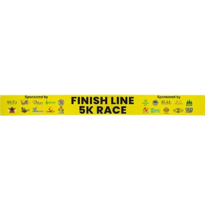 Custom 12Wx120L Badge Satin Banner with Logo DS50RIB1210