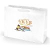 Promotional Rome - Matte Eurotote - Dynamic Color with Logo DY13MAE1612