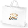 Promotional Rome - Matte Eurotote - Dynamic Color White DY13MAE1612