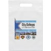 Promotional Die Cut Handle Bag - 9 1/2W x 14H - Dynamic Color with Logo DY20DIC0914