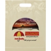 Promotional Die Cut Handle Bag - 12W x 15H x 3 - Dynamic Color Buff Brown DY20DIC1215