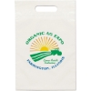 Promotional Eco Die Cut Handle Bag - 9 1/2W x 14H - Dynamic Color with Logo DY23ECD0914