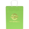 Promotional Brite Jenny - Foil Print with Logo FP10BRS1013