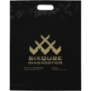 Promotional Die Cut Handle Bag - 15W x 19H x 3 - Flexo Ink Print with Logo FX20DIC1519
