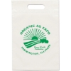 Promotional Eco Die Cut Handle Bag - 9 1/2W x 14H - Flexo Ink Print with Logo FX23ECD0914