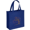 Promotional Abe - Celebration Tote - Sparkle Royal Blue SP30CES1313