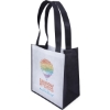 Custom Renoir - PET Non-Woven Tote Bag - Sparkle with Logo SP33PEN1315