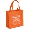 Promotional Abe - Celebration Tote - Screen Print Orange SS30CES1313