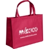 Custom Ben - Celebration Tote - Screen Print with Logo SS30CES1612