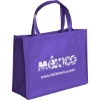 Promotional Ben - Celebration Tote - Screen Print Grape Purple SS30CES1612