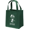 Promotional Little Thunder® - Non-Woven Tote - Screen Print Tropical Green SS30THU1213