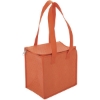 Promotional Therm-O Cooler Tote™ - Insulated Bag - Screen Print Orange SS34THF0908