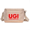Custom Taylor RPET Lunch Bag with Logo B615