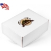 Custom Full Color Printed Corrugated Box Large 11x9x4 with Logo GL2012-VI