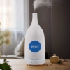 Custom Serenity Light-Up Humidifier with Logo T145