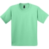 Custom Gildan - Youth Ultra Cotton 100% US Cotton T-Shirt. Mint Green