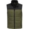Custom The North Face Everyday Insulated Vest. Burnt Olive Green