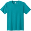 Custom Port & Co Fan Favorite Tee. Bright Aqua Blue