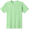 Custom Port & Co Fan Favorite Tee. Spearmint Green