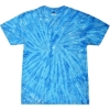 Custom Unisex Multi-Color Tie-Dyed T-Shirt Neon Blueberry