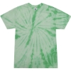 Custom Unisex Multi-Color Tie-Dyed T-Shirt Spider Mint