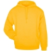Custom Unisex Hooded Sweatshirt Gold