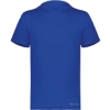 Custom Mens Hooded T-Shirt Powered by Coolcore Royal