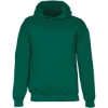 Custom Youth Hooded Sweatshirt Forest