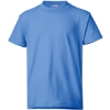 Custom Youth EcoSmart® T-Shirt Carolina Blue