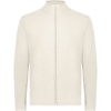 Custom Unisex Eco Revive™ Micro-Lite Fleece Full-Zip Jacket Oyster