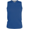 Custom Mens Blank Reversible Game Jersey Royal/ White
