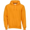 Custom Unisex Fleece Hooded Sweatshirt Golden Amber