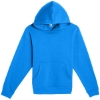 Custom Youth Premium Hooded Sweatshirt True Royal