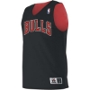 Custom Youth NBA Logod Reversible Jersey Chicago Bulls