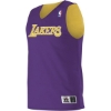 Custom Youth NBA Logod Reversible Jersey Los Angeles Lakers